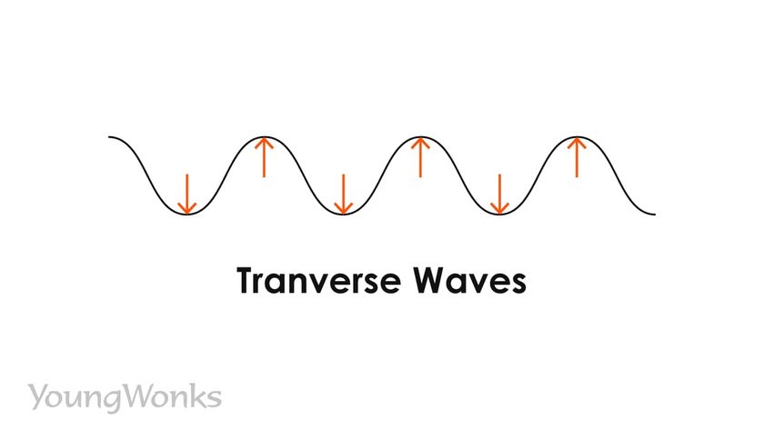 What is a Wave and What are the Different Types of Waves