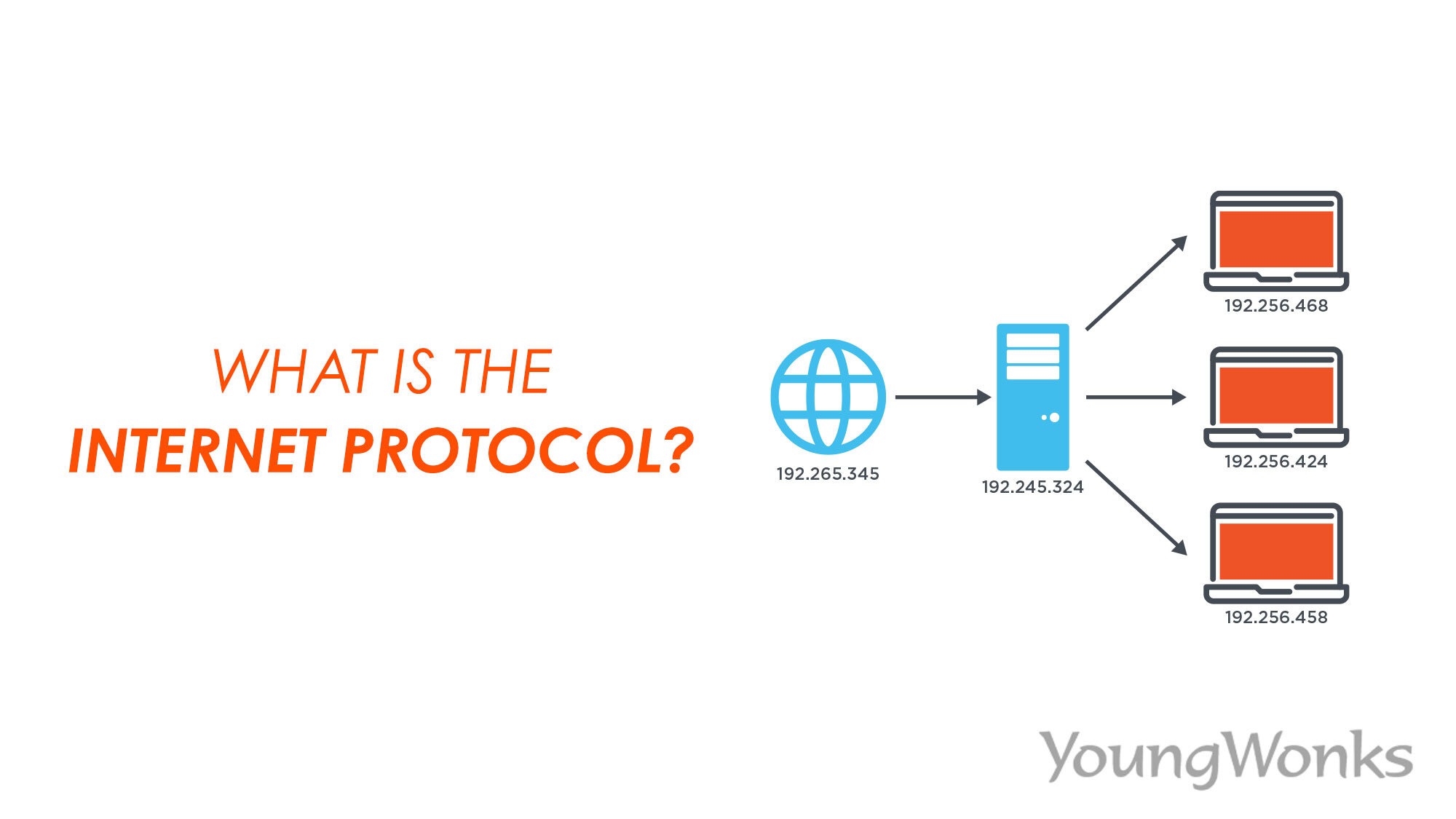 Network Protocol