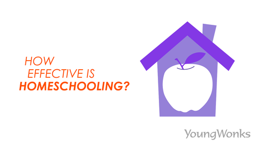 Pros and cons of homeschooling programs and homeschooling curriculum