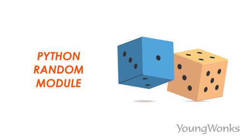 Random Module Python