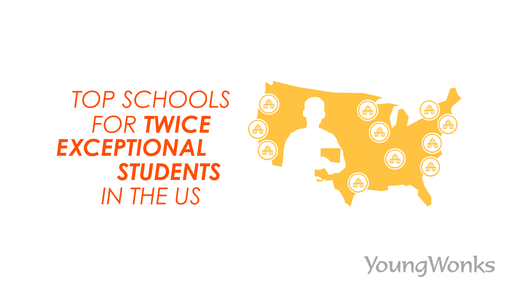 A figure to show the leading schools for 2e kids in the United States