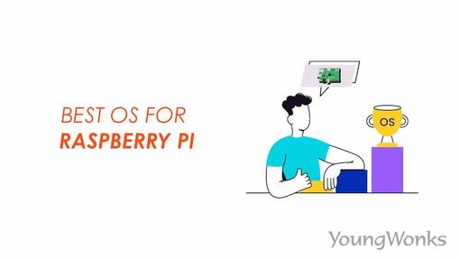 An image that explains about Best OS for Raspberry Pi