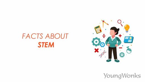 An image that explains about Facts about STEM.