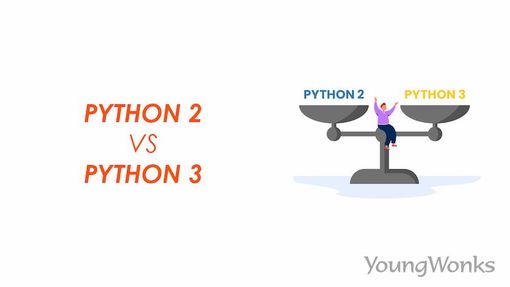 An image that explains Python 2 vs Python 3.