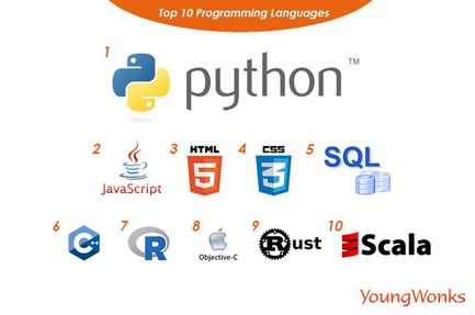 An image that shows the top programming languages to be learned today.
