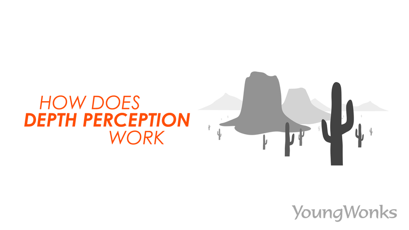 A figure that explains how depth perception works using plants at different distances