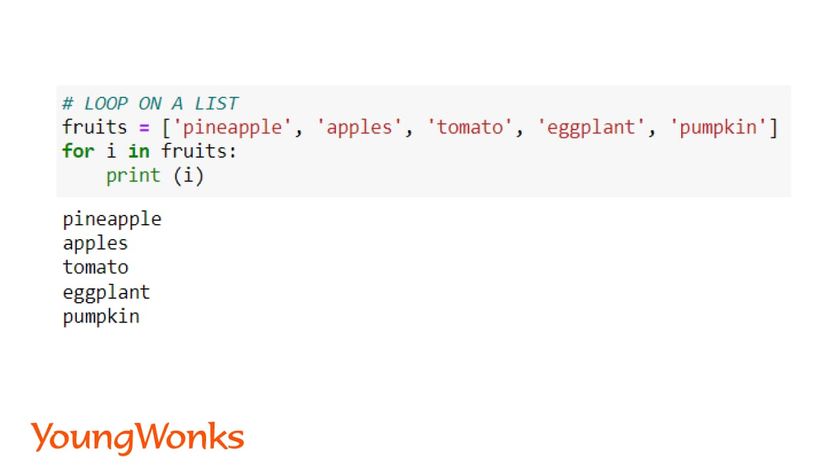 python list methods loop on a list