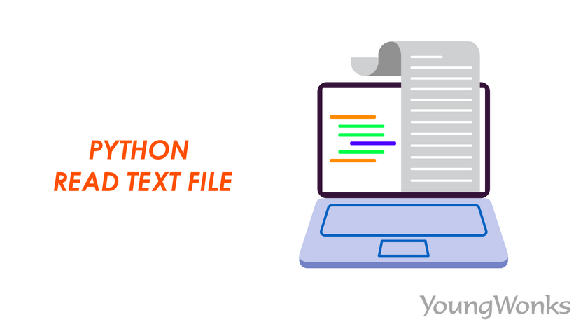 Read text file Python