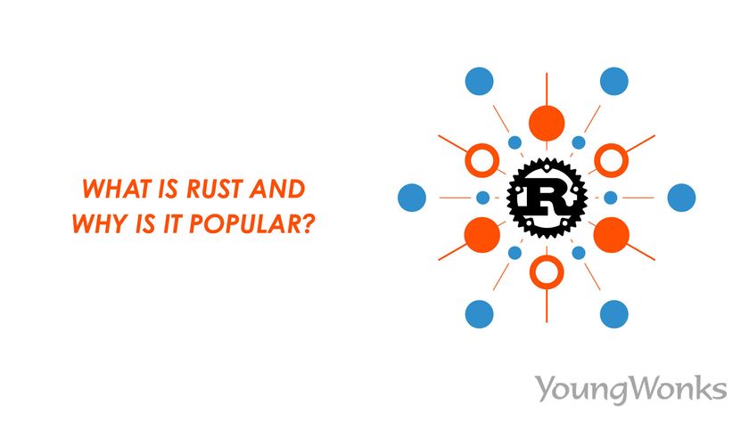 Rust by the Numbers: The Rust Programming Language in 2021 - The