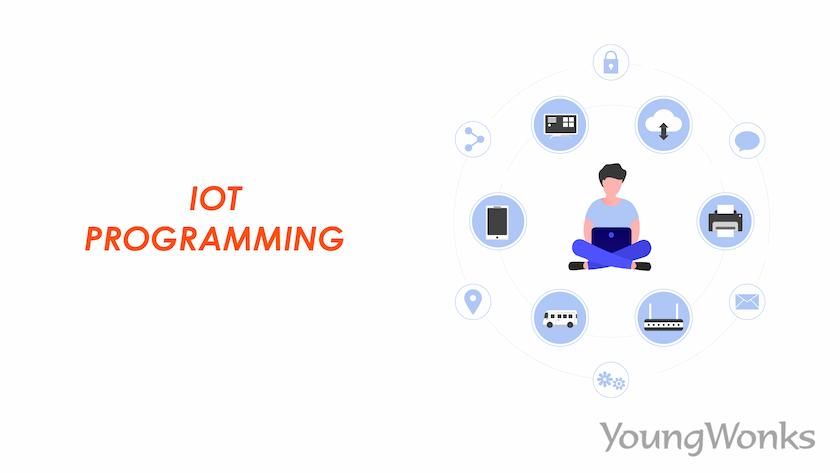 An image that explains IOT programming.