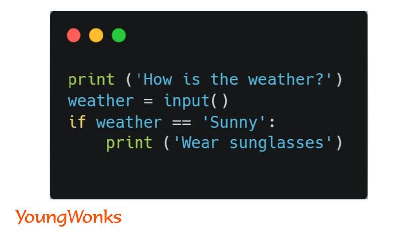How to use Python If Else statements