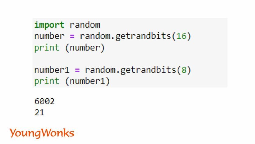 random assignment generator python