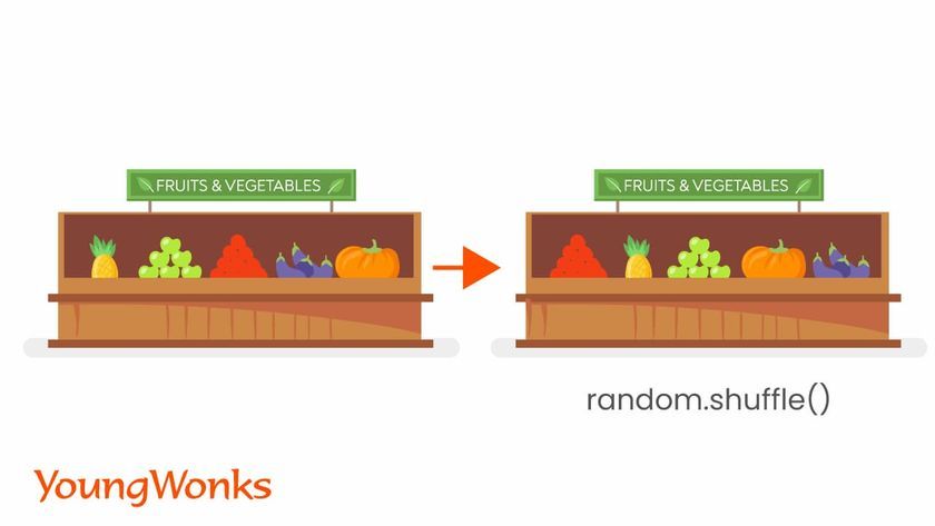 Random Module-Python