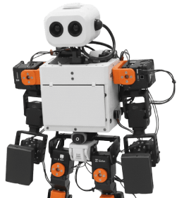 YoungWonks online humanoid robotics classes