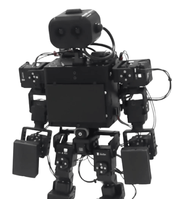 YoungWonks online humanoid robotics classes